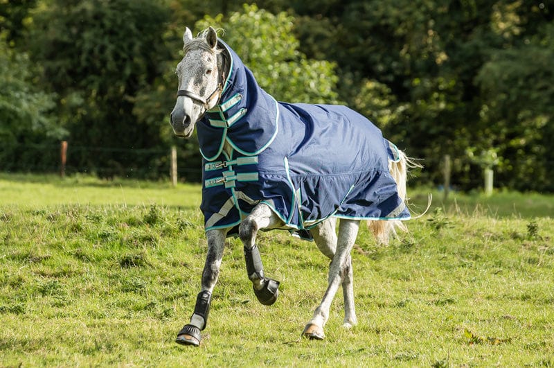 Medium weight 200G Detachable Neck Horse Turnout Rug - Navy