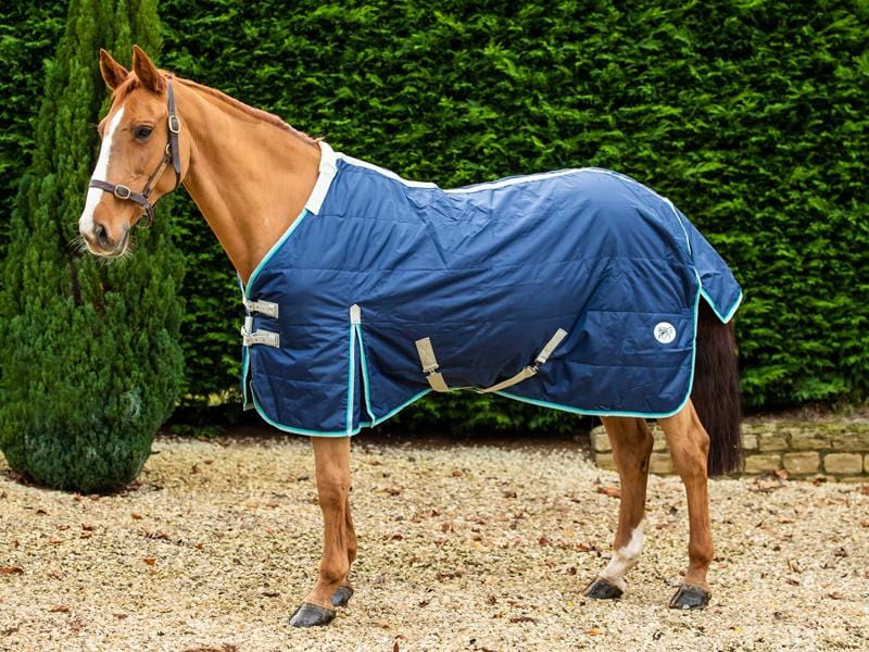 Heavy Weight 450g Horse Stable Rug With Detachable Neck - Navy