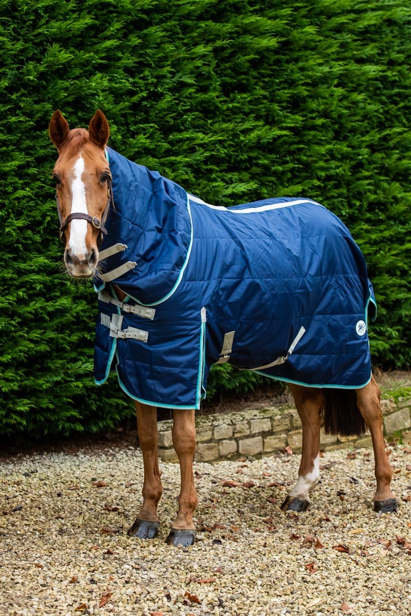 Heavy Weight 450g Horse Stable Rug With Detachable Neck - Navy