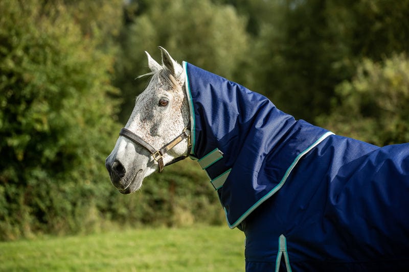 Medium weight 200G Detachable Neck Horse Turnout Rug - Navy