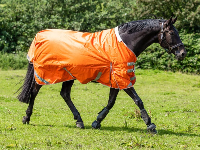 Medium weight 200G Detachable Neck Horse Turnout Rug - Orange
