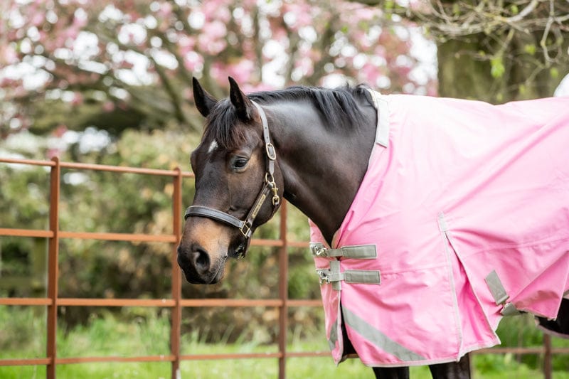 Lightweight 100g Detachable Neck Horse Turnout Rug - Baby Pink
