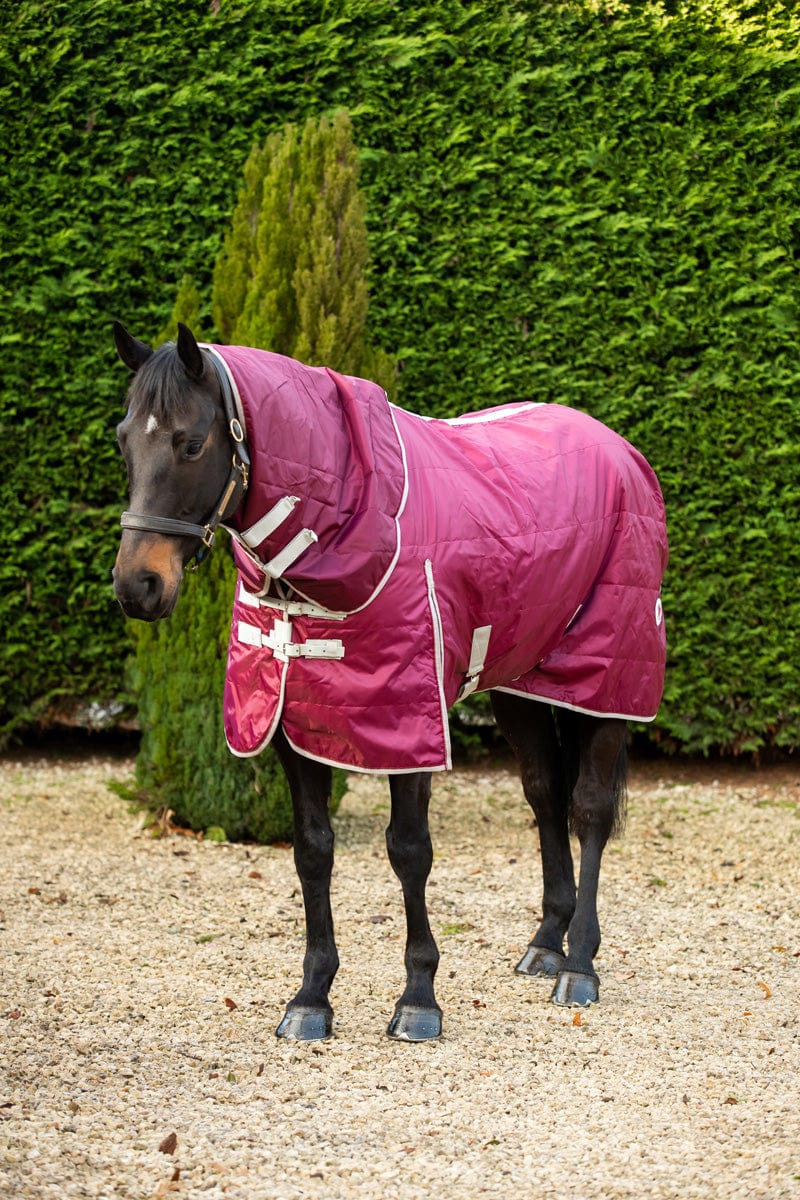 Heavy Weight 360g Horse Stable Rug With Detachable Neck - Burgundy