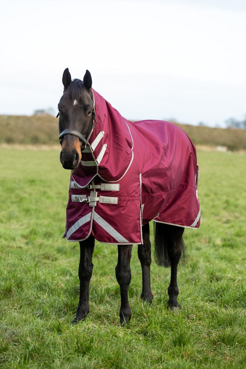 Lightweight 100g Detachable Neck Horse Turnout Rug - Burgundy