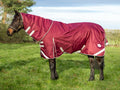 Lightweight 100g Detachable Neck Horse Turnout Rug - Burgundy