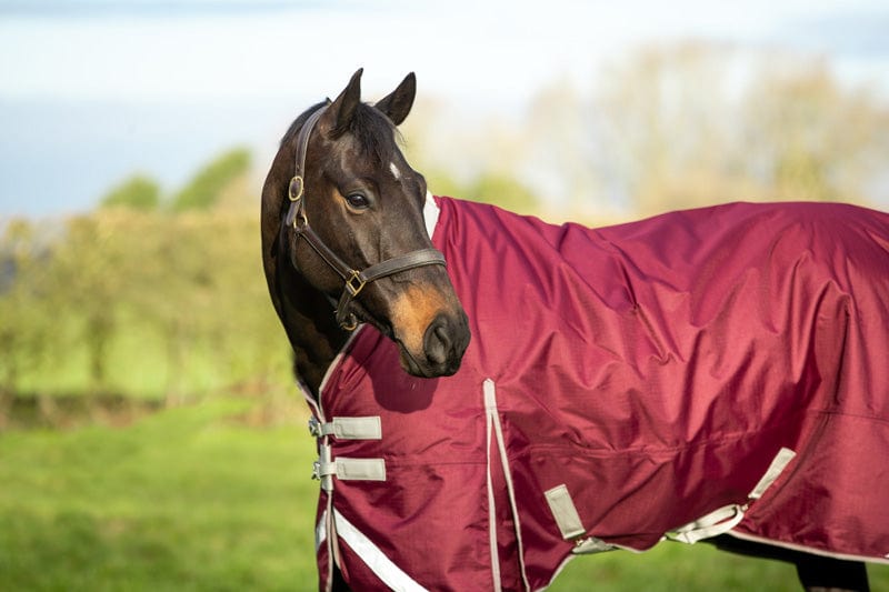 Lightweight 100g Detachable Neck Horse Turnout Rug - Burgundy