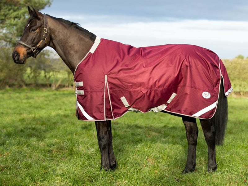 Medium weight 200G Detachable Neck Horse Turnout Rug - Burgundy