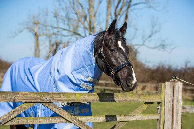 Lightweight 100g Detachable Neck Horse Turnout Rug - Cornflower