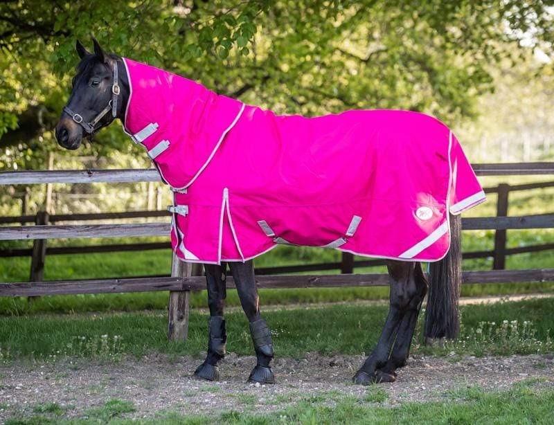 Medium weight 200g Detachable Neck Horse Turnout Rug - Pink