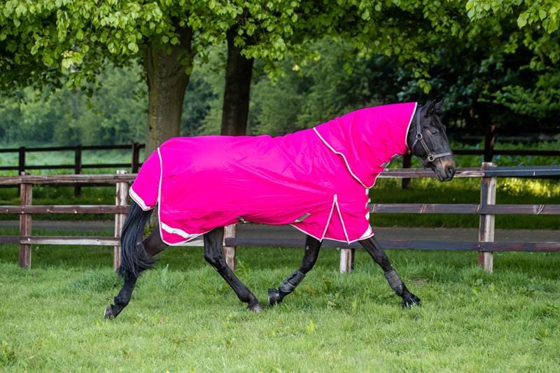 Lightweight 100g Detachable Neck Horse Turnout Rug - Pink