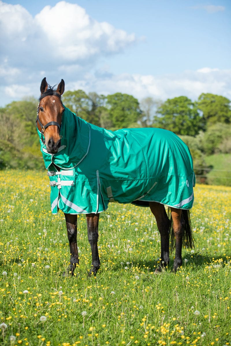 Medium weight 200G Detachable Neck Horse Turnout Rug - Green