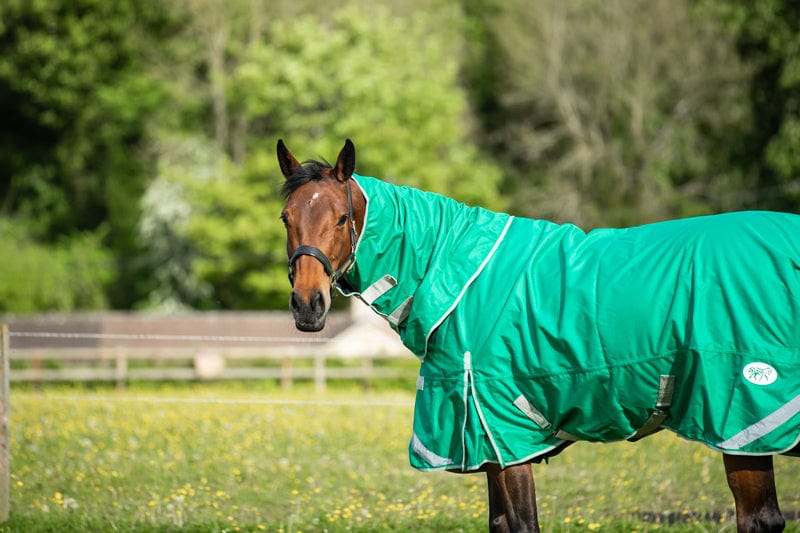 Medium weight 200G Detachable Neck Horse Turnout Rug - Green