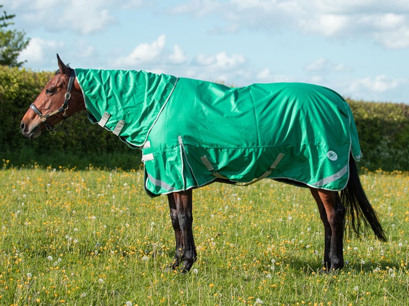 Medium weight 200G Detachable Neck Horse Turnout Rug - Green