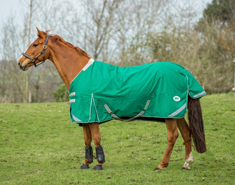Medium weight 200G Detachable Neck Horse Turnout Rug - Green