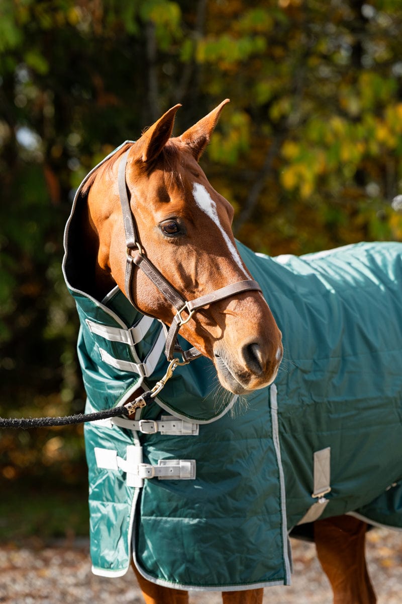 Lightweight 100g Horse Stable Rug With Detachable Neck - Hunter Green