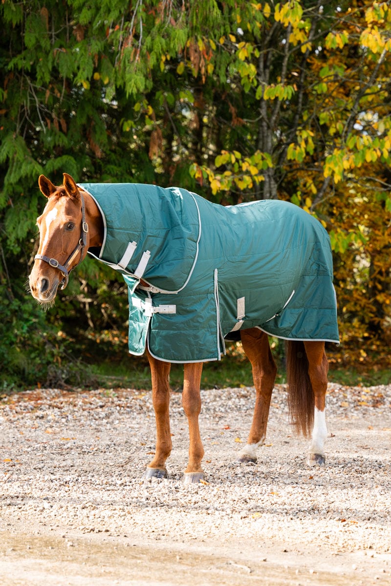 Lightweight 100g Horse Stable Rug With Detachable Neck - Hunter Green