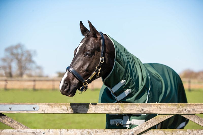Medium weight 200g Detachable Neck Horse Turnout Rug - Hunter Green