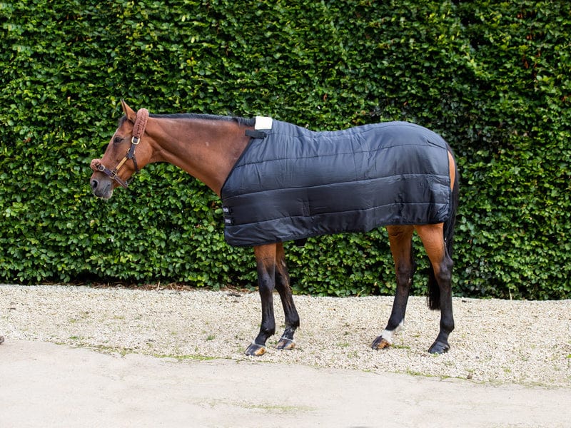 Heavy Weight 300g Horse Rug Liner