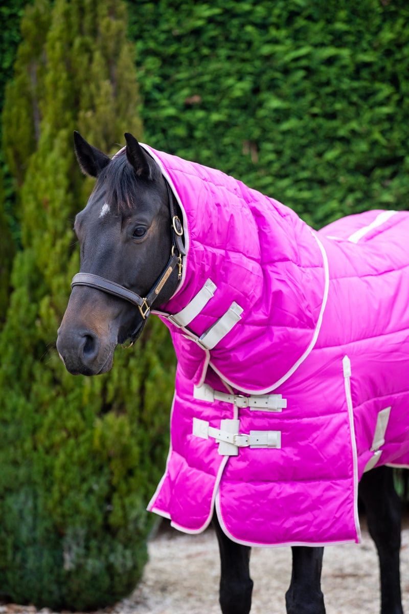Heavy Weight 450g Horse Stable Rug With Detachable Neck - Mulberry