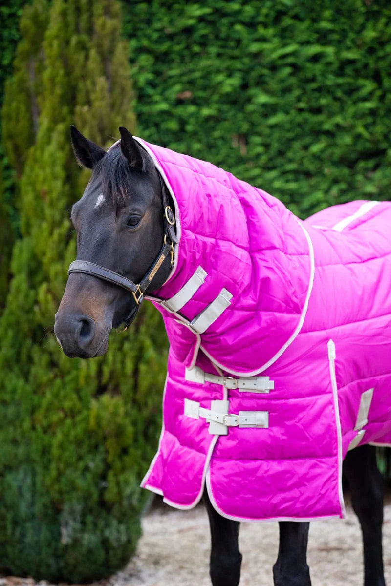 Medium Weight 200g Horse Stable Rug With Detachable Neck - Mulberry