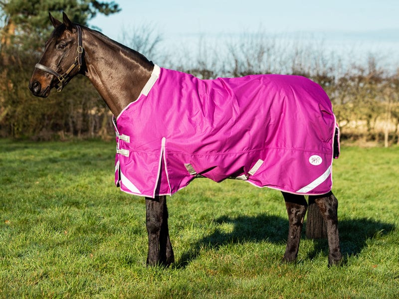 Lightweight 100g Detachable Neck Horse Turnout Rug - Mulberry