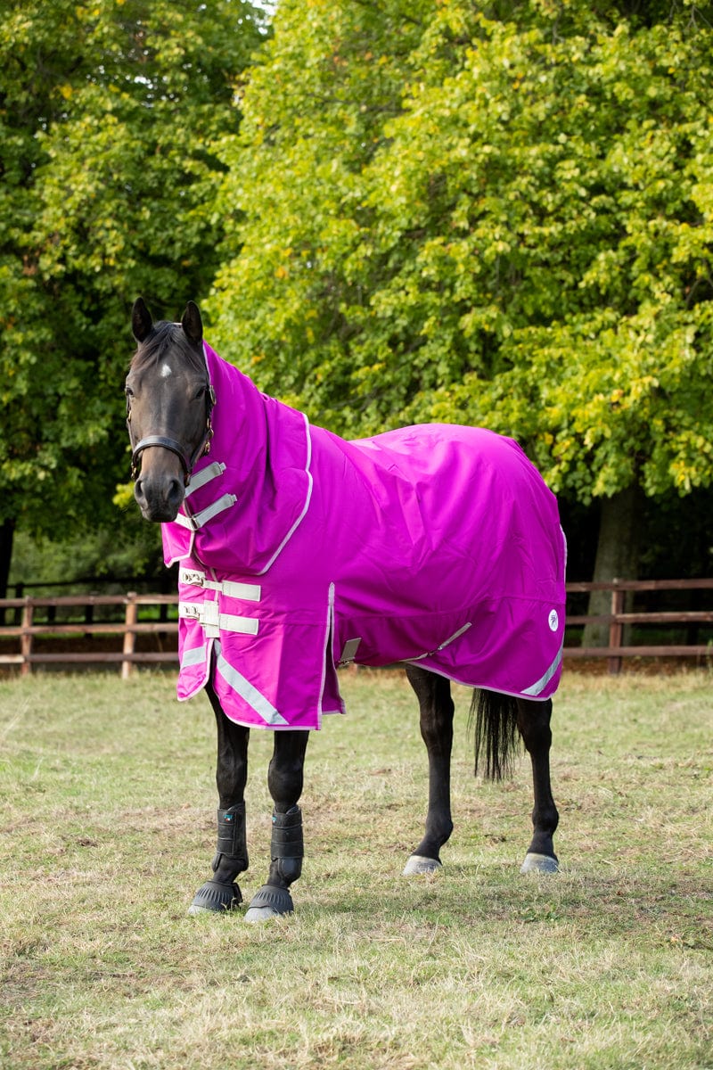 Medium weight 200G Detachable Neck Horse Turnout Rug - Mulberry