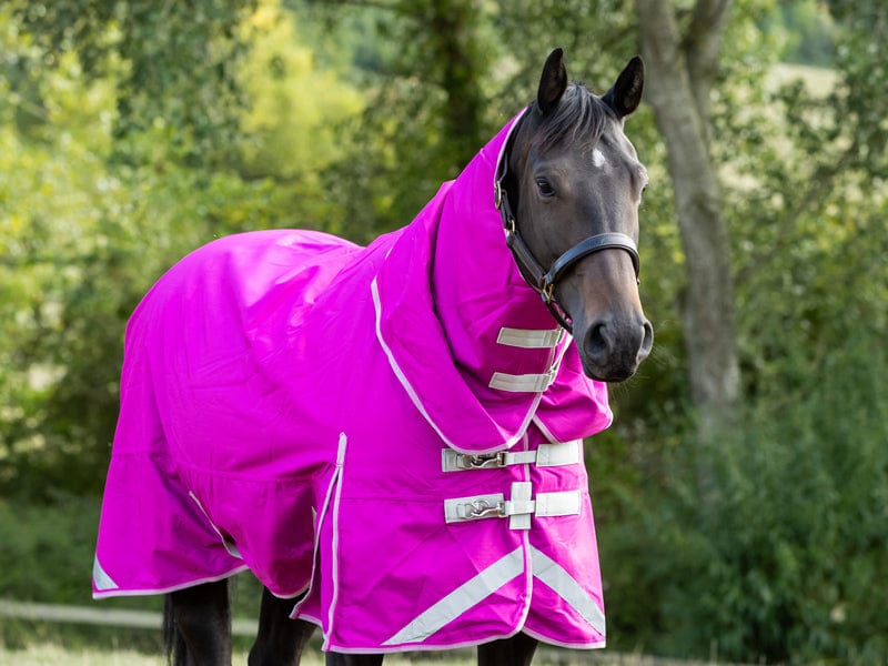 Medium weight 200G Detachable Neck Horse Turnout Rug - Mulberry