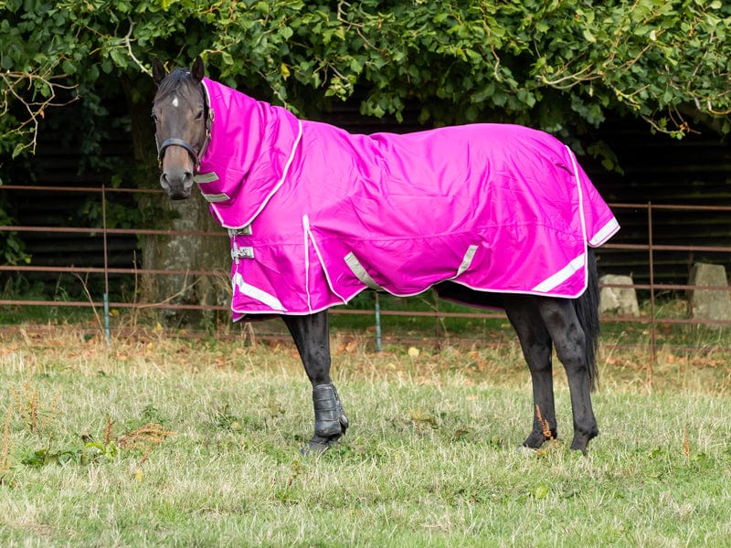 Lightweight 100g Detachable Neck Horse Turnout Rug - Mulberry