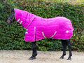 Heavy Weight 450g Horse Stable Rug With Detachable Neck - Mulberry