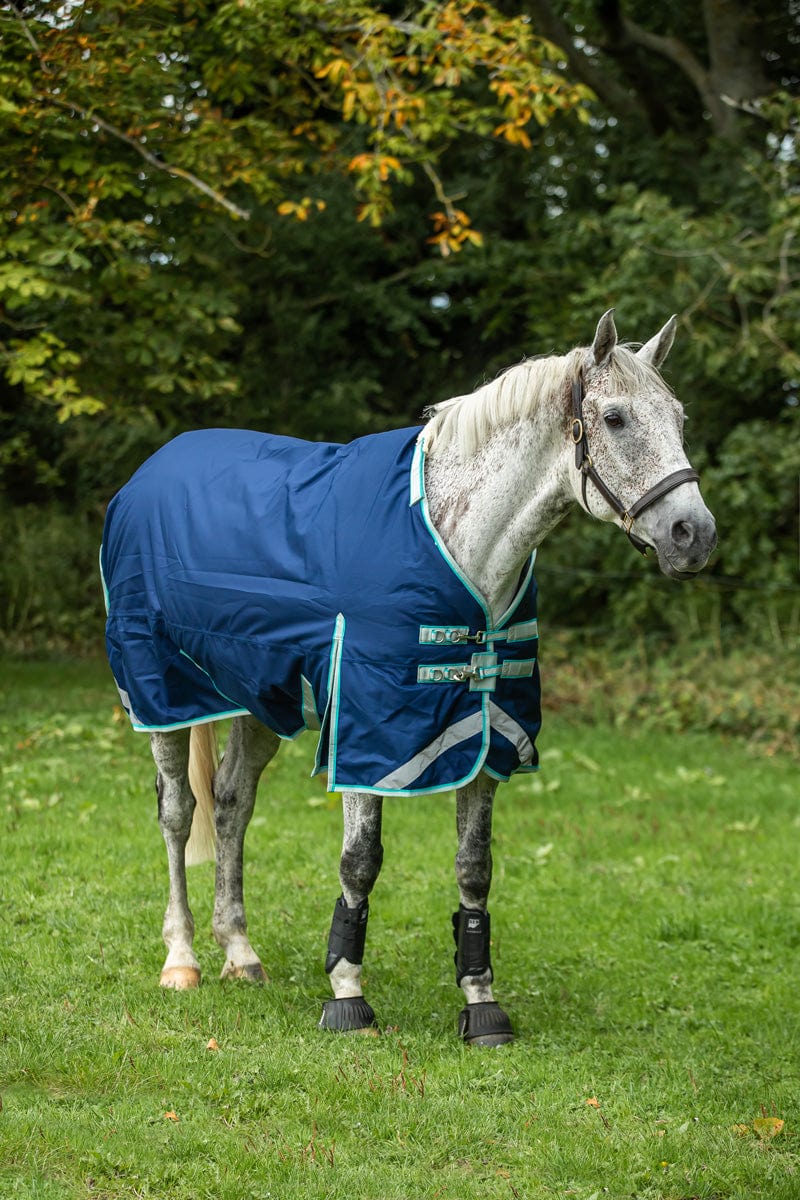 Medium weight 200G Detachable Neck Horse Turnout Rug - Navy