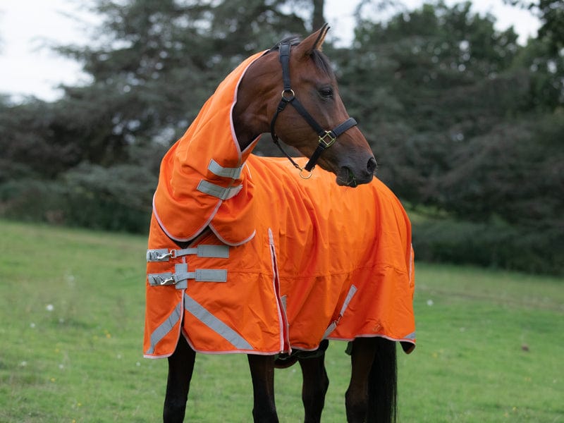 Medium weight 200G Detachable Neck Horse Turnout Rug - Orange