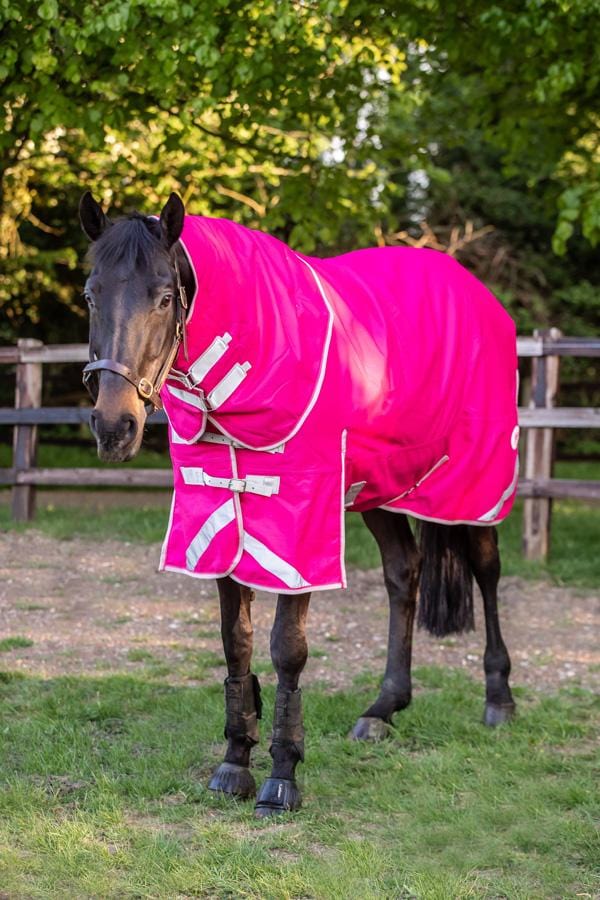 Lightweight 100g Detachable Neck Horse Turnout Rug - Pink