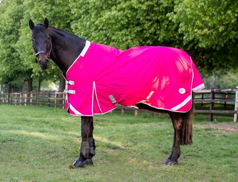 Lightweight 100g Detachable Neck Horse Turnout Rug - Pink