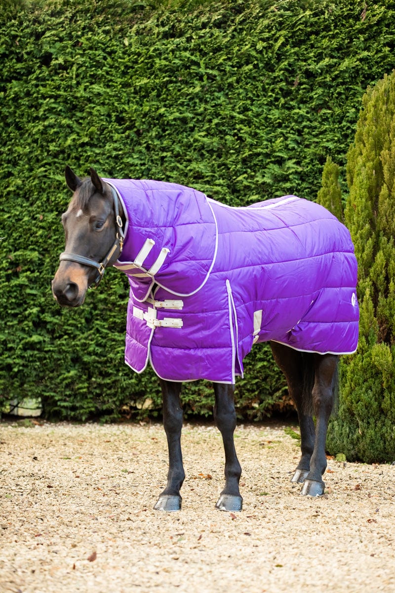 Heavy Weight 400g Horse Detachable Neck Stable Rug - Purple