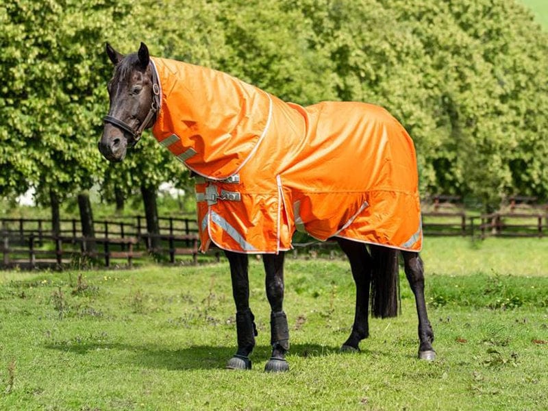 Medium weight 200G Detachable Neck Horse Turnout Rug - Orange