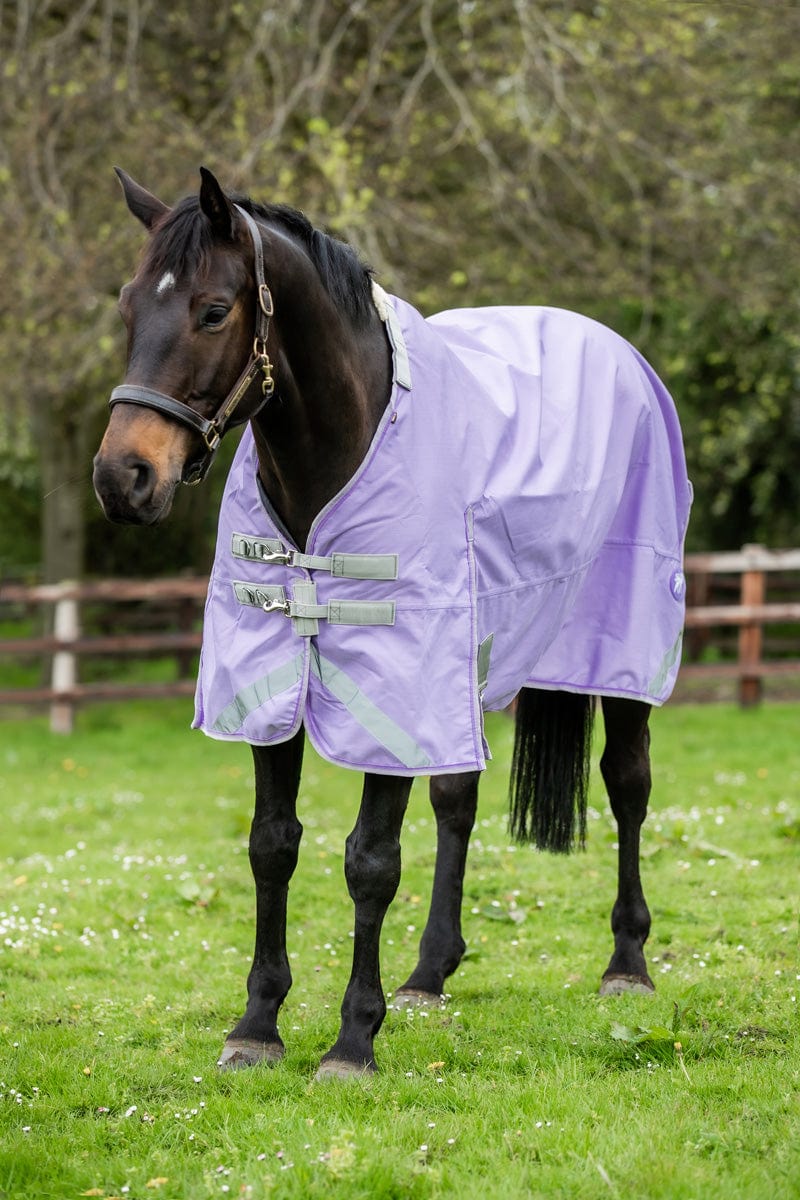 Medium weight 200G Detachable Neck Horse Turnout Rug - Violet