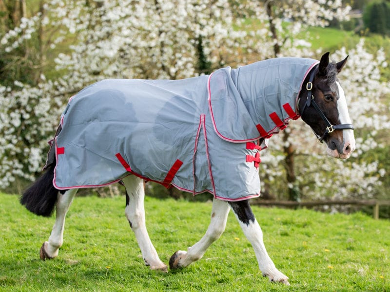 WIDE FIT Mesh Fly Rug - Grey/Red